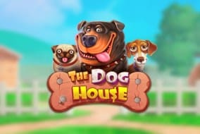 The Dog House