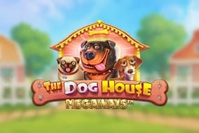 The Dog House Megaways